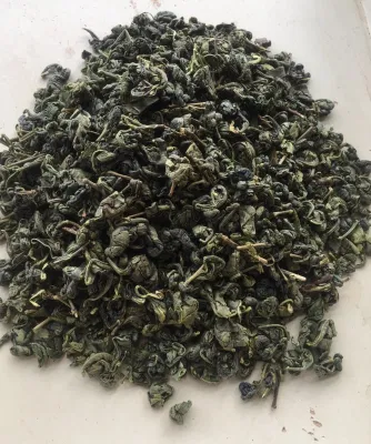 Tè verde cinese per Uzbekistan, Kazakistan Polvere da sparo 9501, 3505, 9374