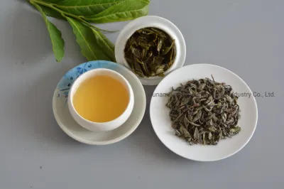 Tè biologico premium Green Tea Factory Op 9101