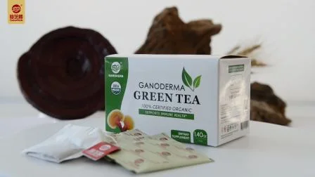Campione gratuito Premium Alta qualità All'ingrosso 100% biologico Reishi Fungo Lingzhi Estratto Bustina di tè verde Tè al Ganoderma