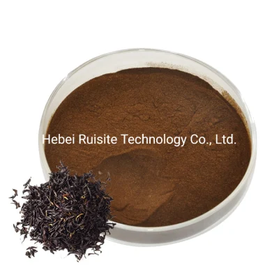Polvere di estratto di tè nero istantaneo biologico di alta qualità al 100%.