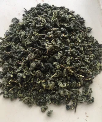Tè verde standard UE 3505 Tè verde polvere da sparo