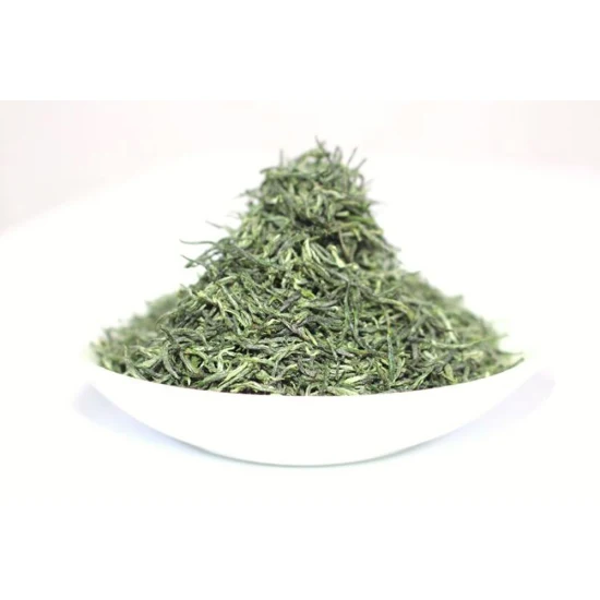 Tè verde cinese Foglie di tè verde Maojian biologico premium di alta qualità